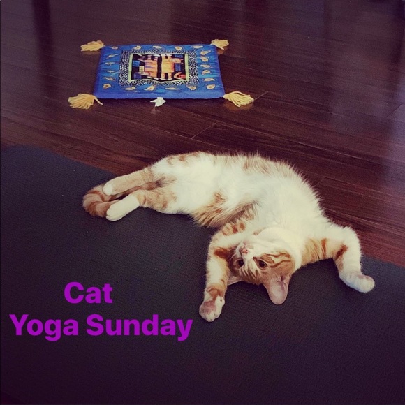 Meet your Posher - Picture 10 of 11